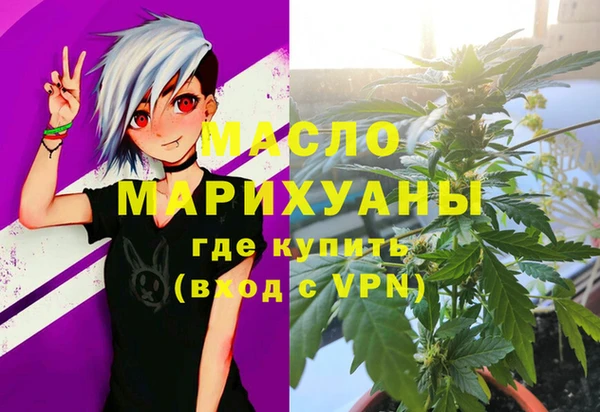 гашик Михайлов