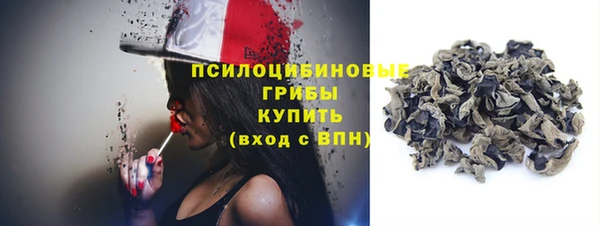 гашик Михайлов