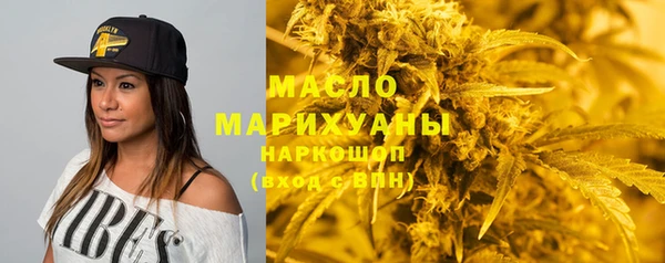 гашик Михайлов