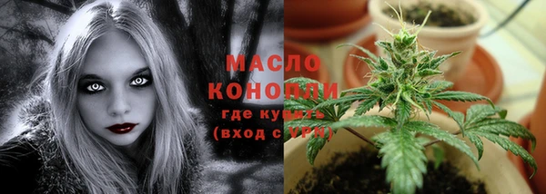 гашик Михайлов